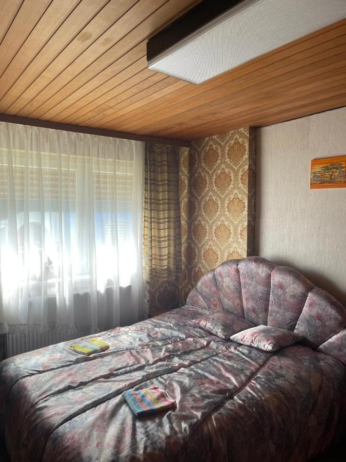 Haus Rennsteig Villa Reichenbach im Vogtland Dış mekan fotoğraf